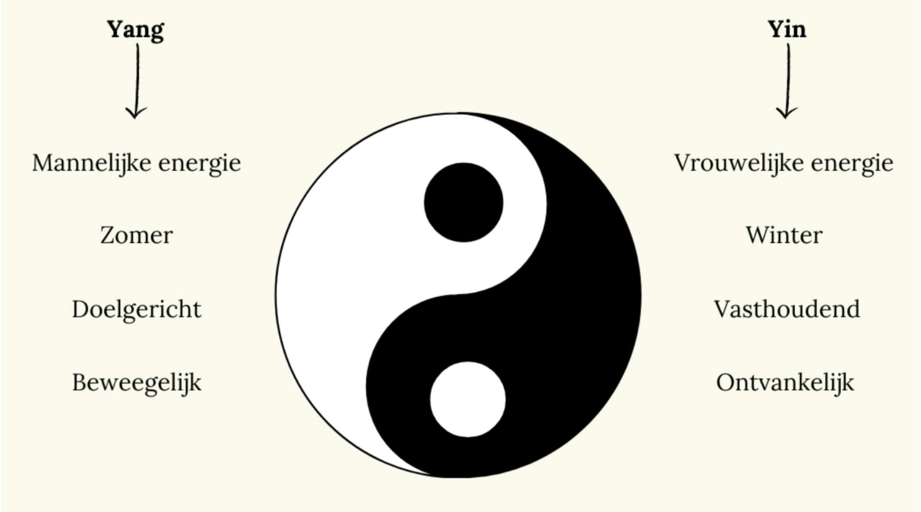 Yin & Yang betekenis