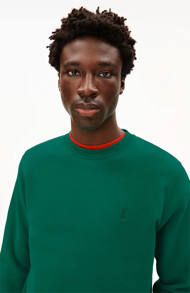 ARMEDANGELS Baaro emerald green sweater in organic cotton men | Sophie Stone