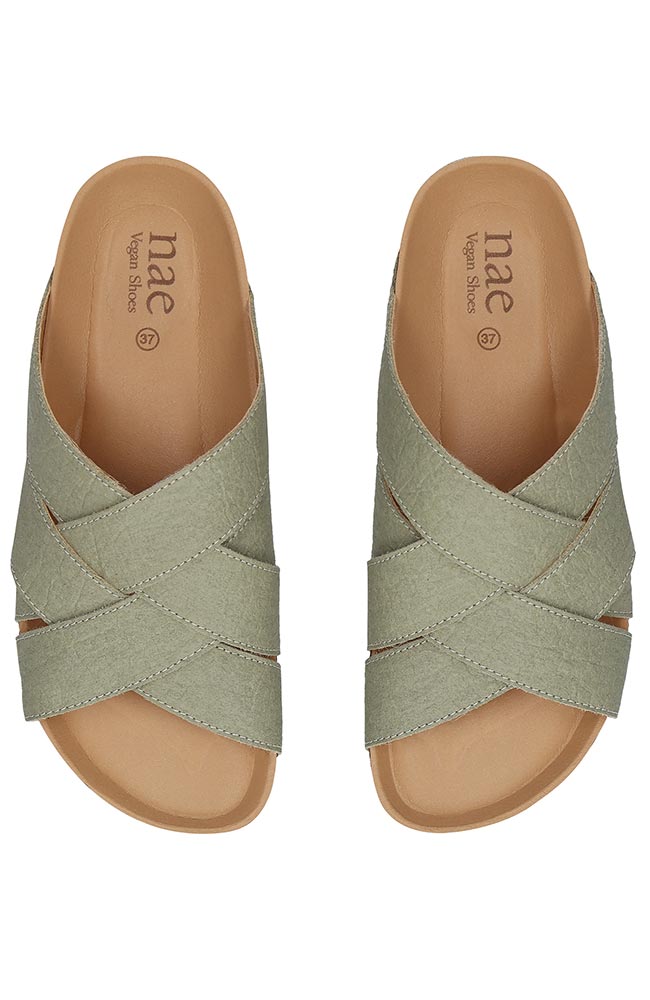 NAE Tanna Sandale in Grün aus 100 % Piñatex, unisex | Sophie Stone