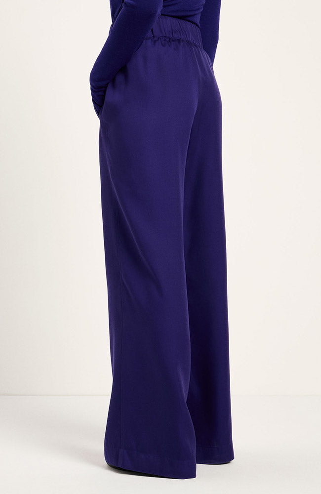 Lanius wide leg broek violet van TENCEL vrouw | Sophie Stone