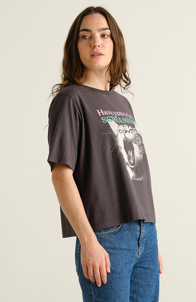 Dedicated Vadstena t-shirt screaming cat grijs bio katoen vrouw | Sophie Stone