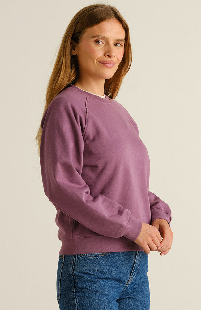 Dedicated trui Ystad base berry 100% GOTS biologisch katoen dames | Sophie Stone