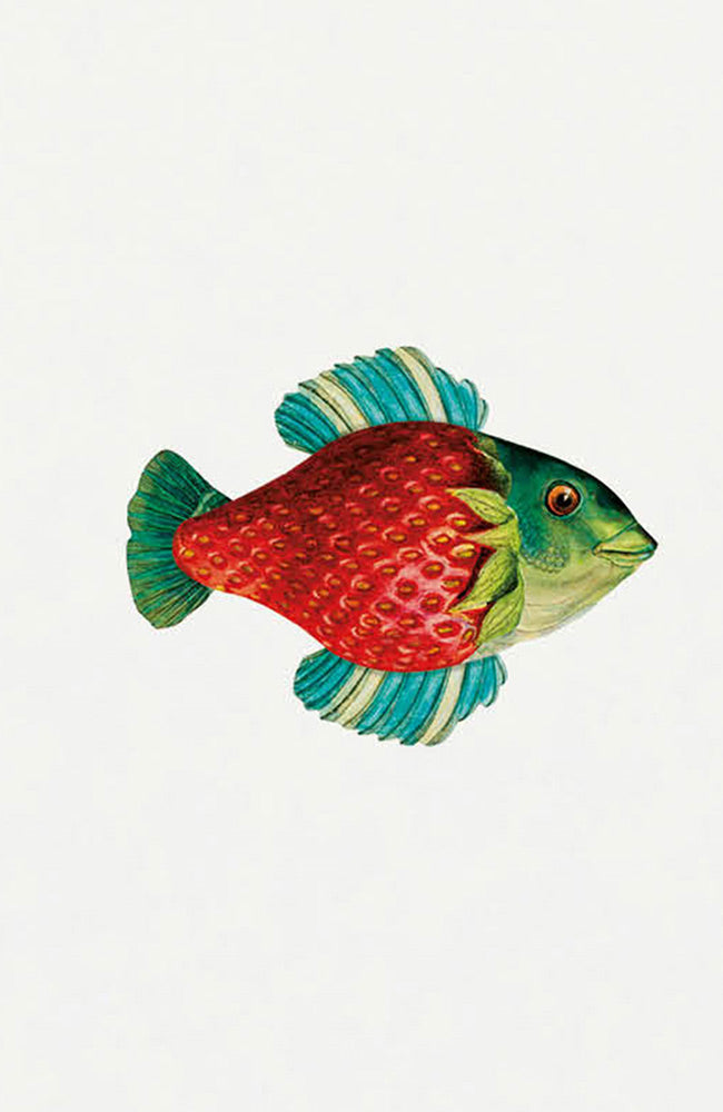 Bask in the Sun Strawberry fish t-shirt naturel van bio katoen | Sophie Stone