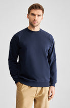 Dedicated Malmoe Pullover blau Bio-Baumwolle Herren | Sophie Stone