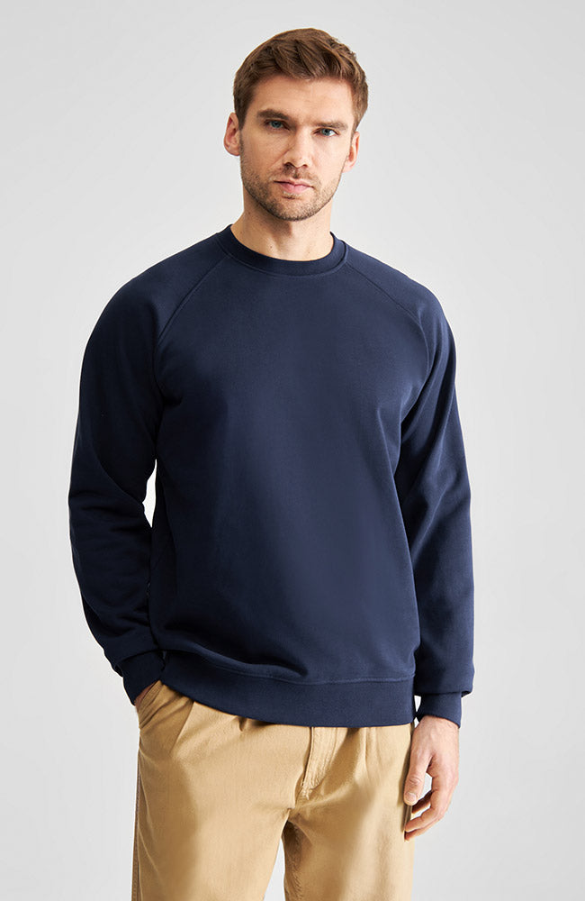 Dedicated Malmoe Pullover blau Bio-Baumwolle Herren | Sophie Stone
