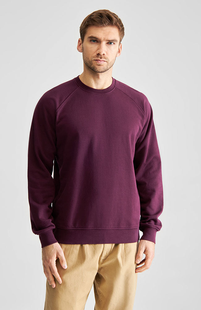 Dedicated Malmoe sweater red from organic cotton men | Sophie Stone