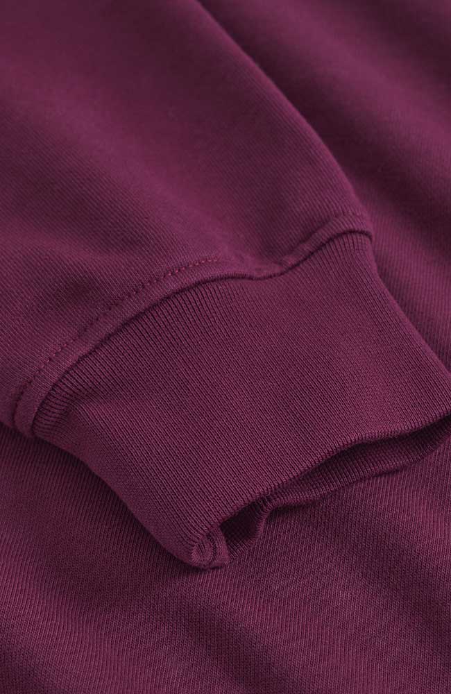 Dedicated Malmoe sweater red from organic cotton men | Sophie Stone