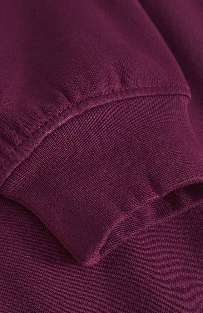 Dedicated Sweatshirt Ystad Base fig red from organic cotton for woman | Sophie Stone
