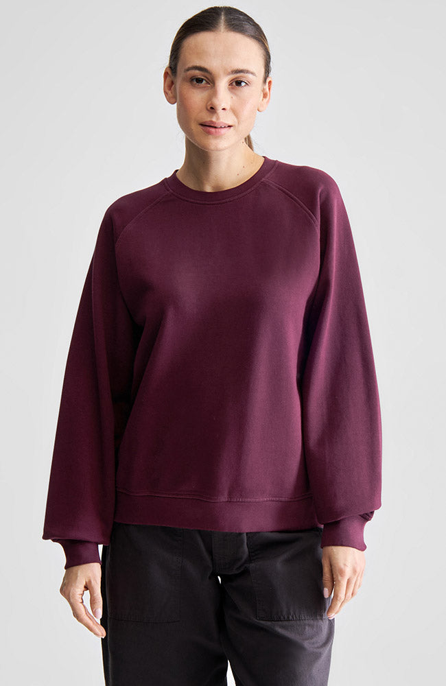 Dedicated Sweatshirt Ystad Base fig red from organic cotton for women | Sophie Stone