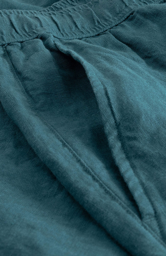 Dedicated Sibbarp shorts in green, made from 100% linen, for men | Sophie Stone