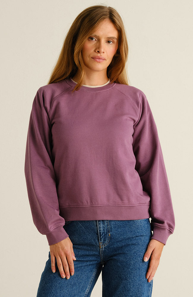 Dedicated trui Ystad berry purple paars 100% GOTS  biologisch katoen dames | Sophie Stone