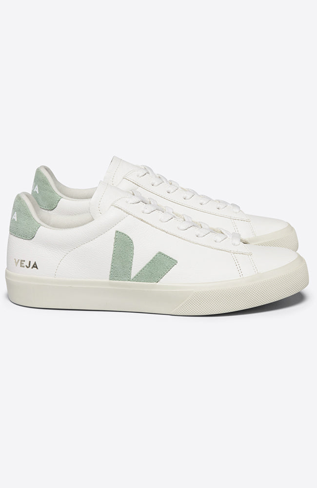 VEJA Campo white matcha sneaker made of durable leather ladies | Sophie Stone