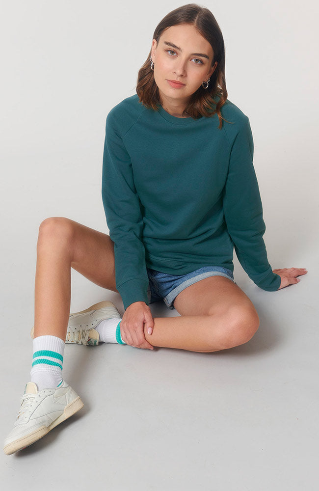 Sophie Stone Thomas sweater stargaze van biologisch katoen