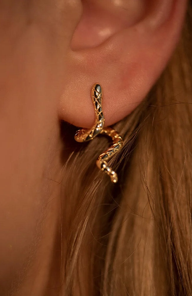 Jules Bean Snake oorstekers verguld sterling zilver | Sophie Stone
